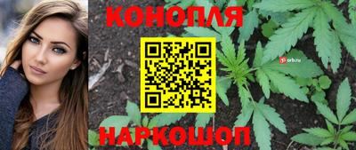 МДМА Новозыбков